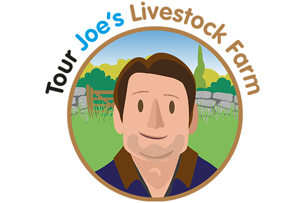Tour Joe's Livestock Farm